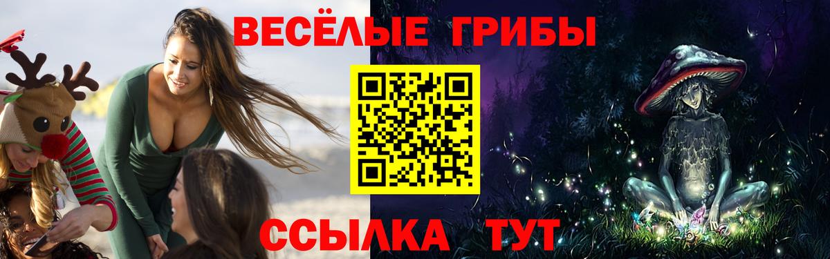 Галлюциногенные грибы Magic Shrooms  Вход с VPN  хочу   Новороссийск 